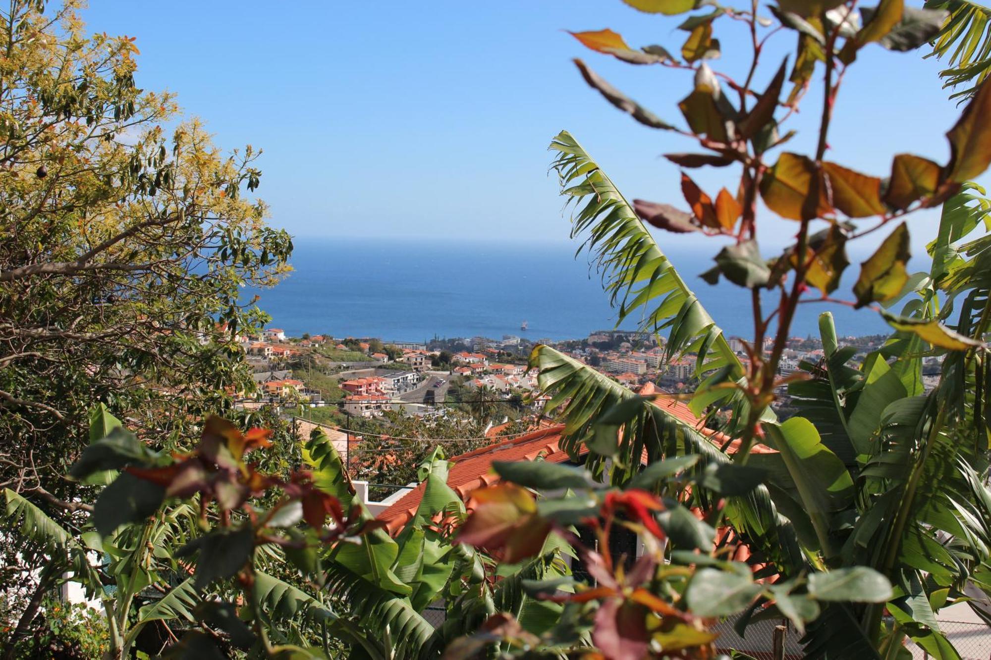 Alojamento Funchal - Silvestre House Eksteriør bilde